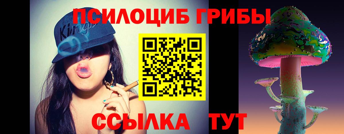 Псилоцибиновые грибы Psilocybe Азнакаево